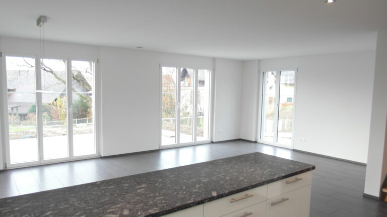 EFH Brunnenstrasse